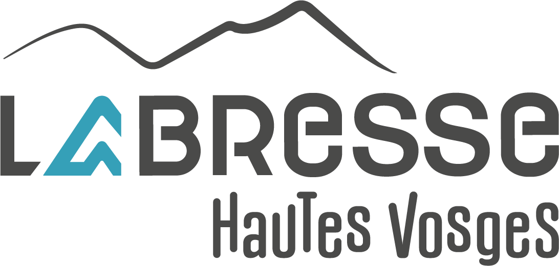 Logo Office de Tourisme de La Bresse