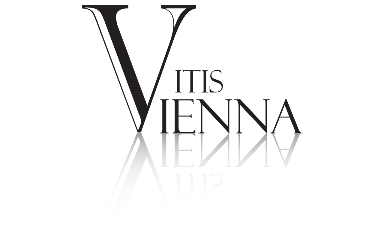 Logo Office de Tourisme de Vienne et du Pays Viennois