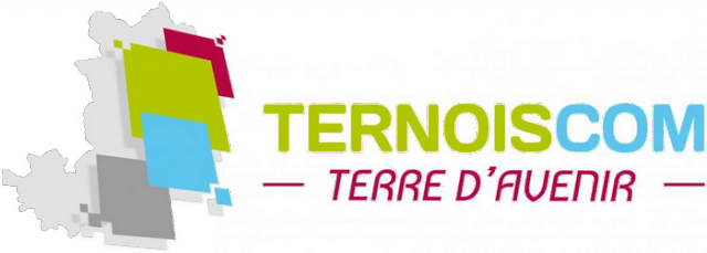 ternoiscom-logo-2017-832